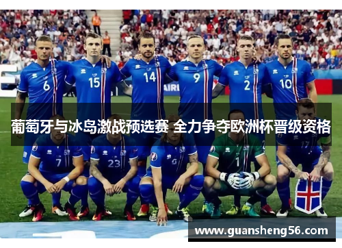 葡萄牙与冰岛激战预选赛 全力争夺欧洲杯晋级资格