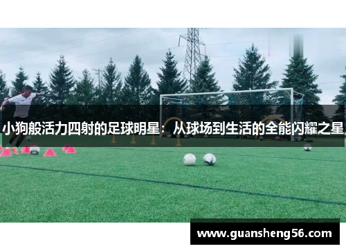 小狗般活力四射的足球明星：从球场到生活的全能闪耀之星