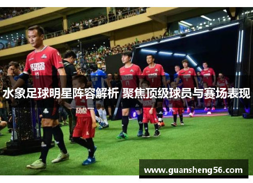 水象足球明星阵容解析 聚焦顶级球员与赛场表现